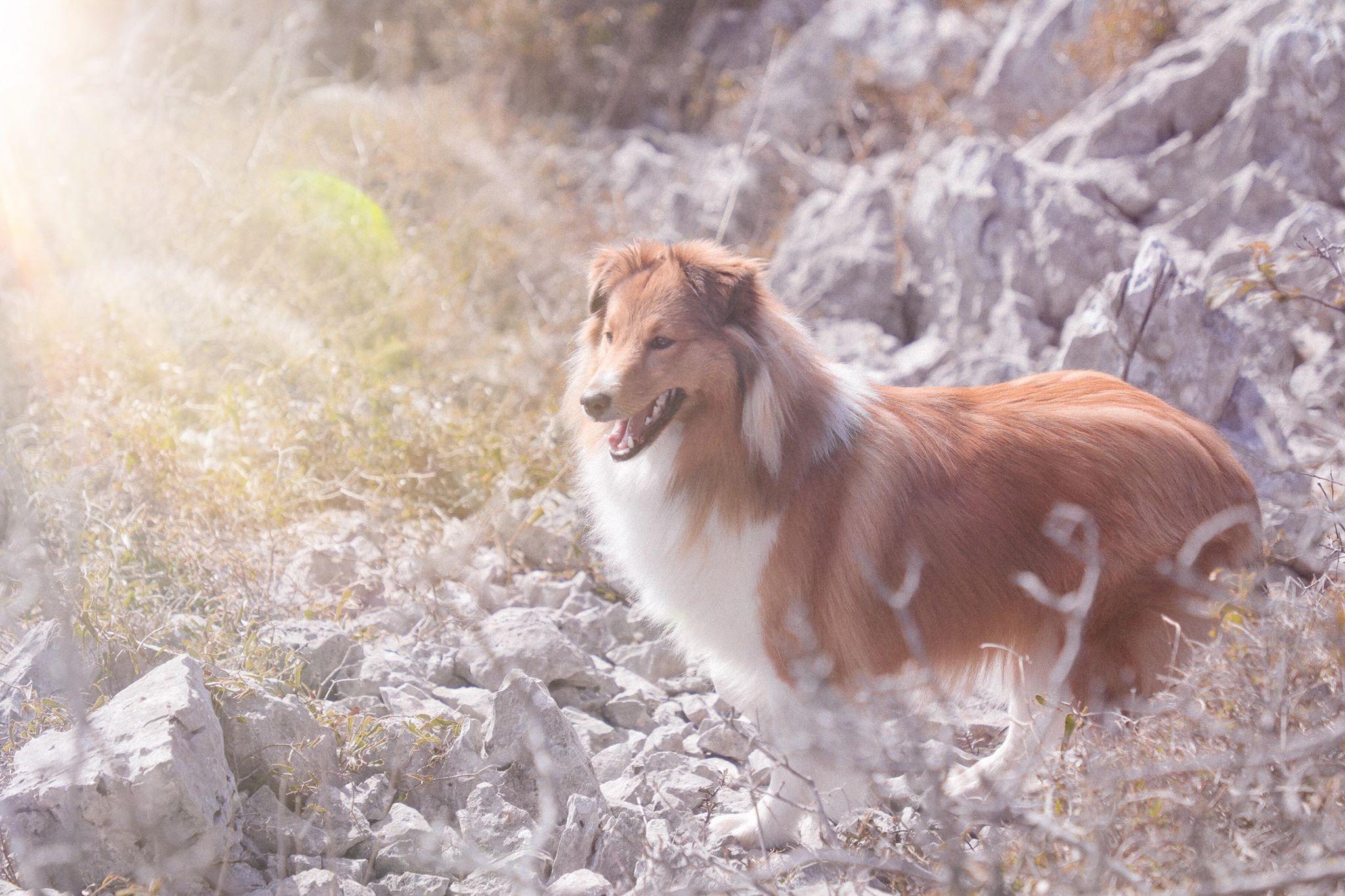 穿着劳保鞋徒步,穿着耐克鞋爬山