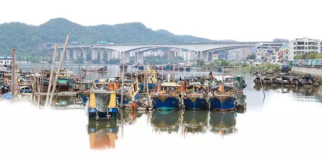 虎门新湾鸡煲,虎门新湾十大老字号美食