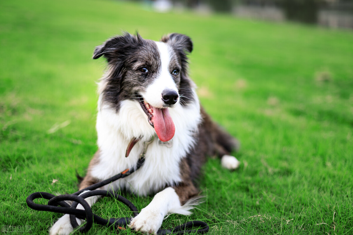 现在最热门的小生意有哪些,当下最赚钱的小生意