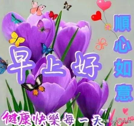 正所谓始于颜值陷于才华忠于人品,一个人始于颜值陷于才华忠于人品