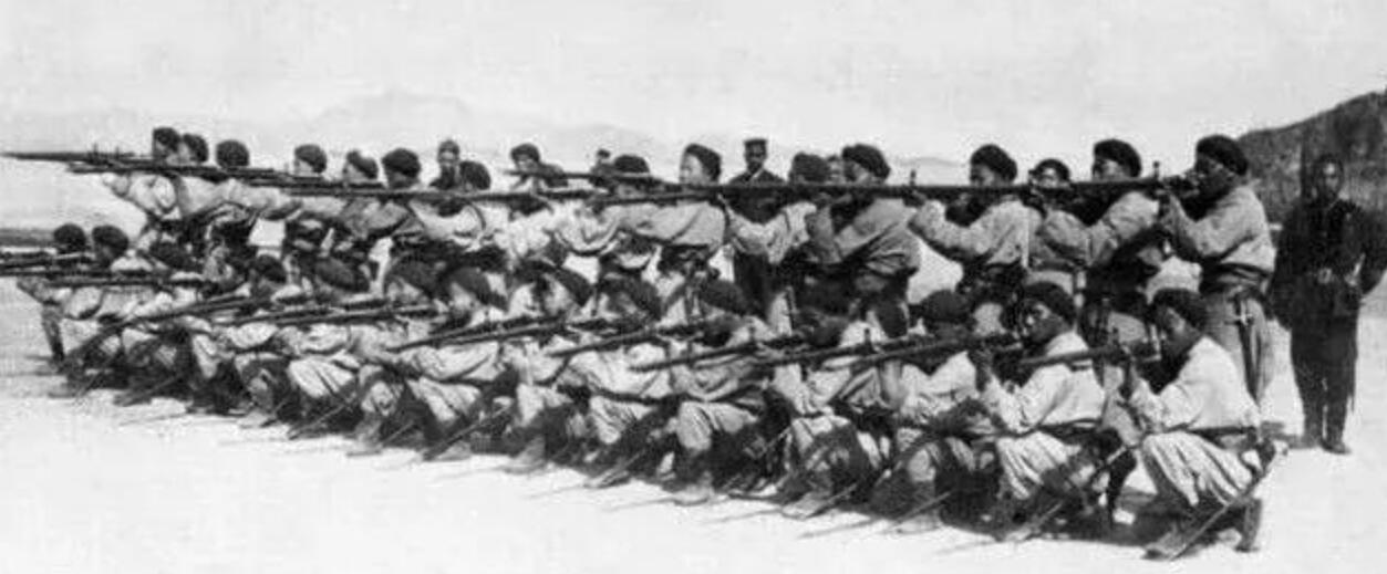 李鸿章的军队为什么叫淮军,近代中国第一支近代化军队是