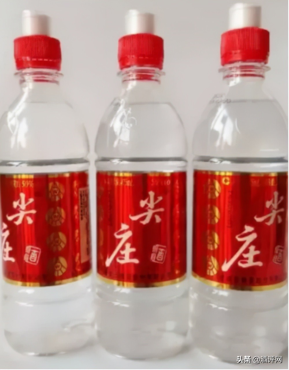 2019年尖庄出了哪几个新品,尖庄1911和尖庄1941哪个好