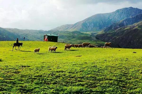 新疆阿克苏拜城县全景,新疆阿克苏地区拜城县发展如何