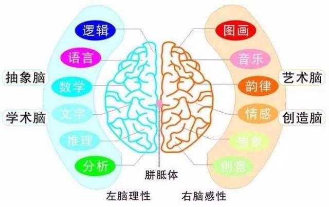 全脑教育为什么国家重视,传统教育与全脑教育的区别