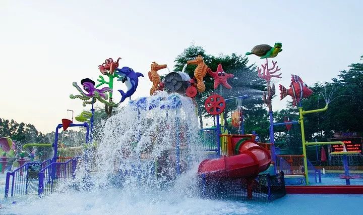 游玩广州长隆野生动物园美篇,广州长隆是怎么玩的