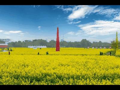 成都网红打卡地最近很火,真正的成都打卡地