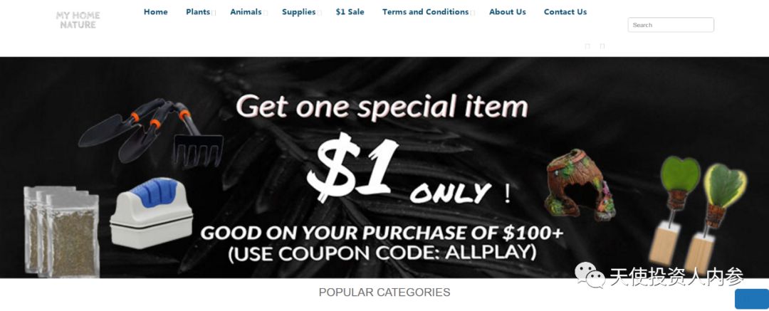 「我是创始人」034:凡高@跨境动植物电商MyHomeNature