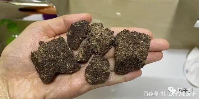 洗发水断舍离nopoo一年整，我的头发还活着吗？