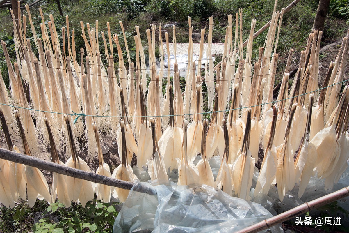 56岁搬运工,农村小伙土特产搬运工