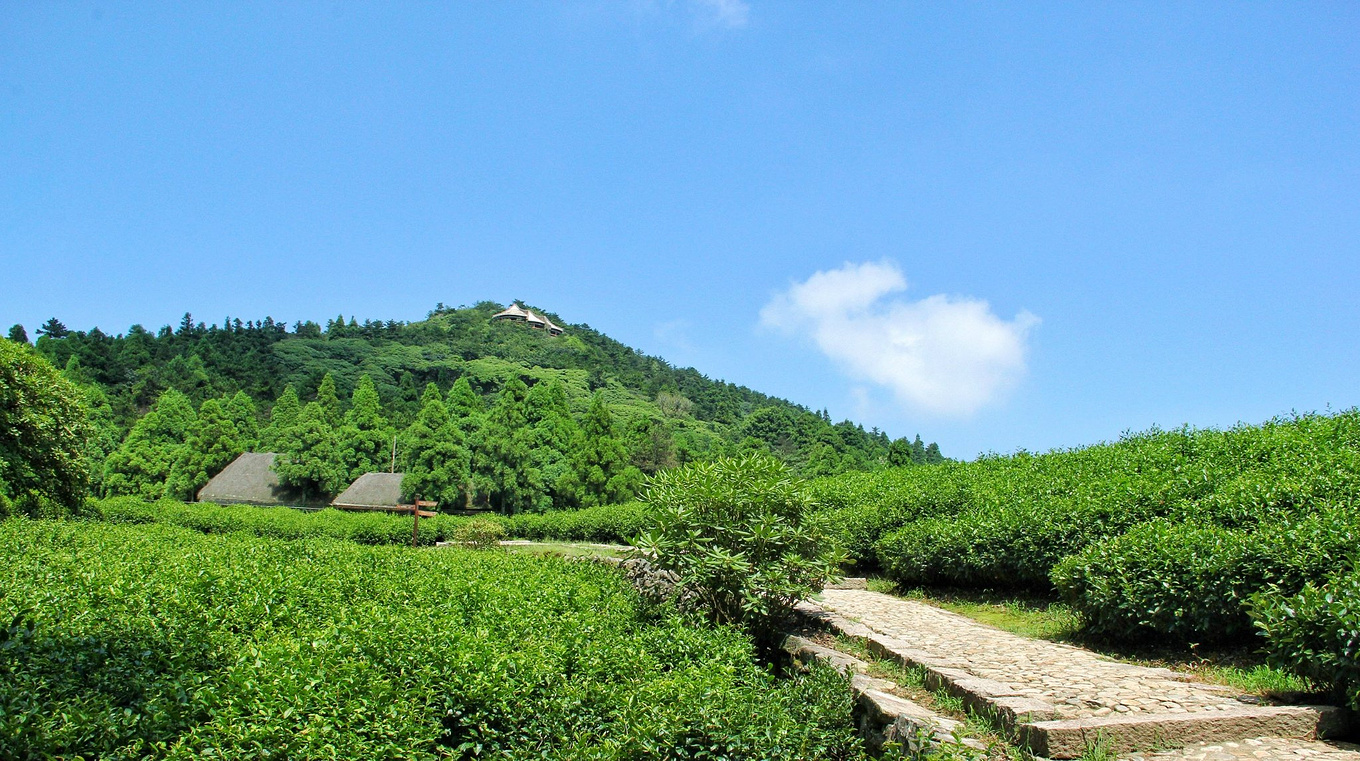 天台华顶山森林公园历史,李白来过天台吗