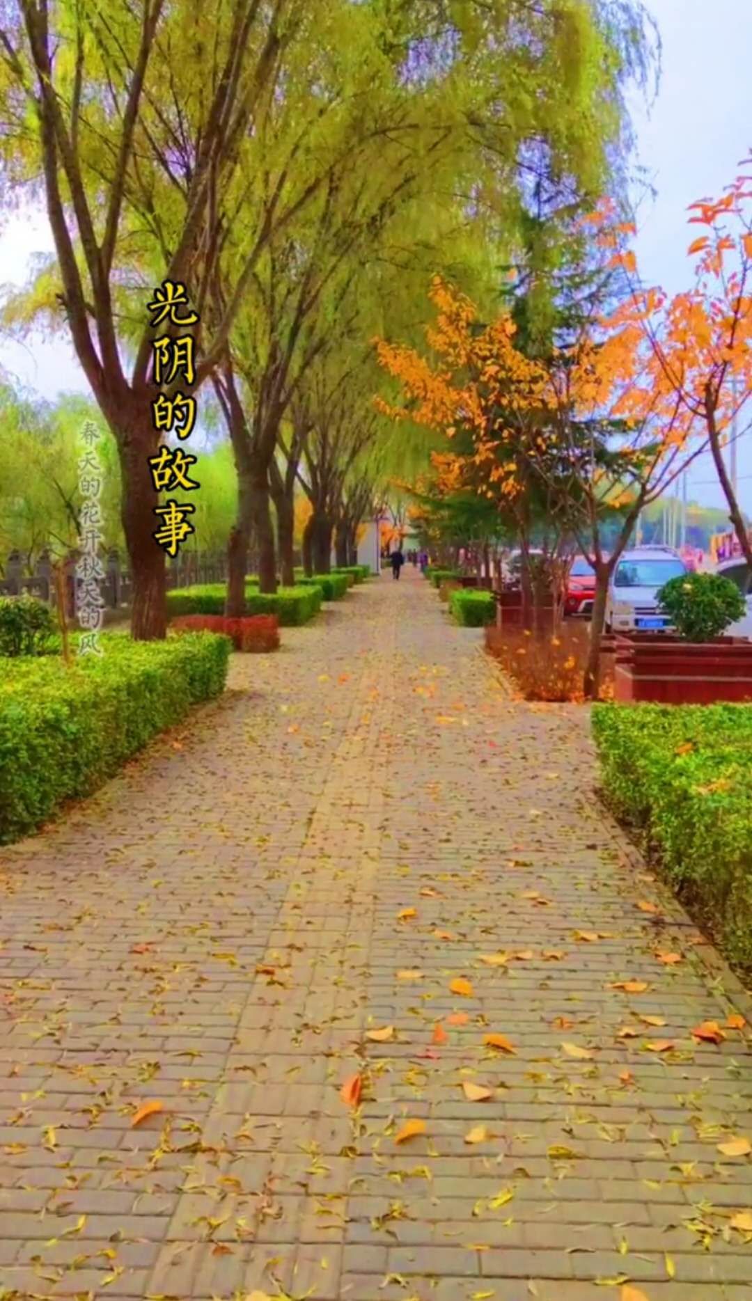 如果在洛南遇见你