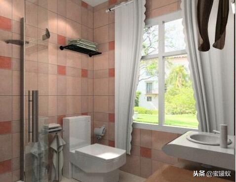 卫生间有小飞虫和臭味怎么解决,卫生间水盆下边反臭味怎么解决