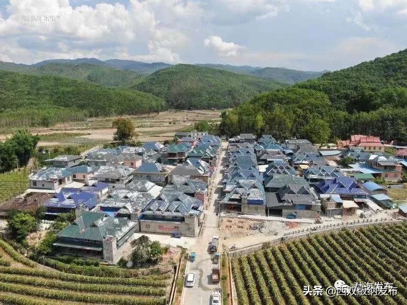 云南省现代化边境小康村,勐海乡村振兴