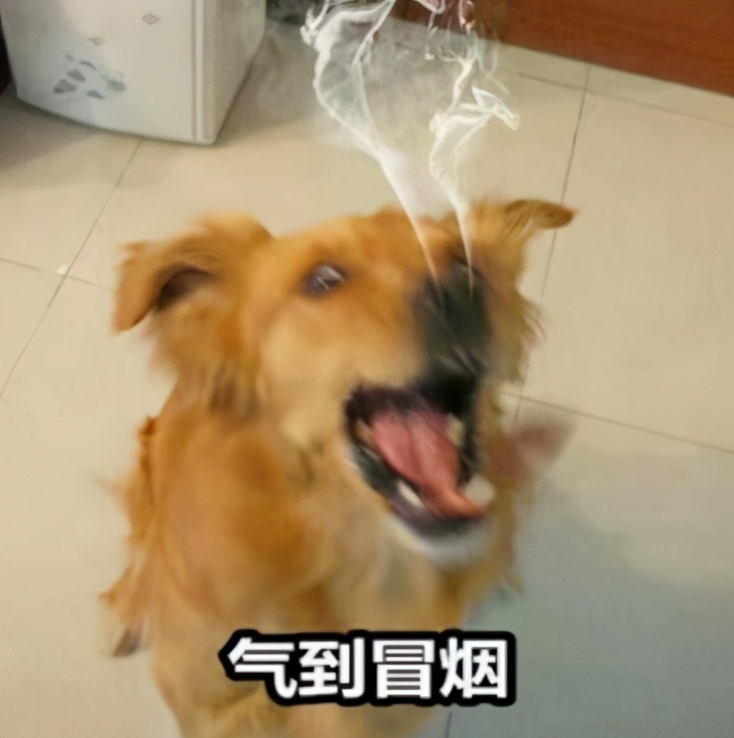 近期mac口红单品双11优惠,mac口红双十二特惠