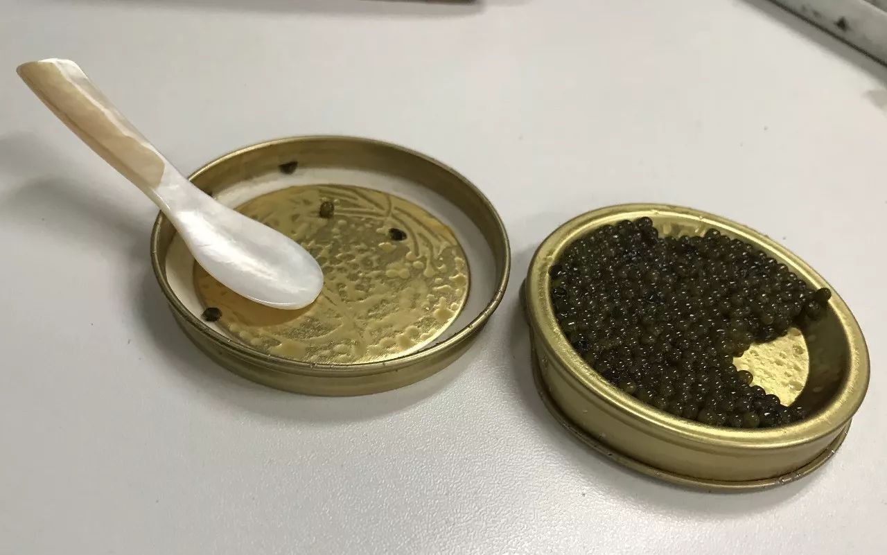 是不是所有的鱼子酱都是鲟鱼做的,还有什么鱼子可以做鱼子酱