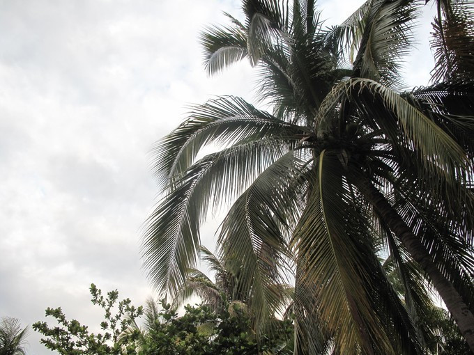 执子之手与子偕老在三亚哪个景区,三亚天涯海角执子之手与子偕老