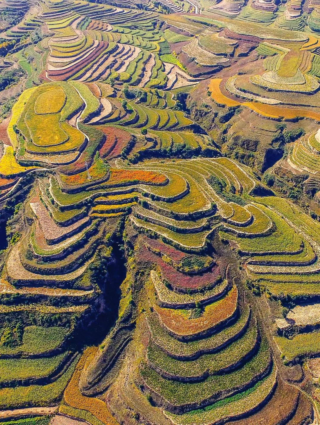 山西吕梁是怎样的城市,吕梁很富吗