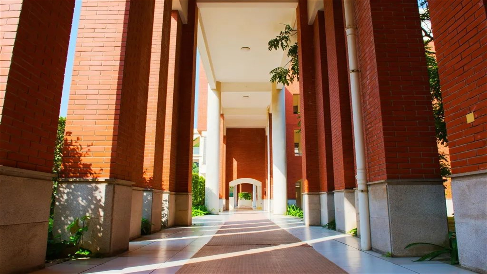 福建十大名校中学排名,福建排名前50中学