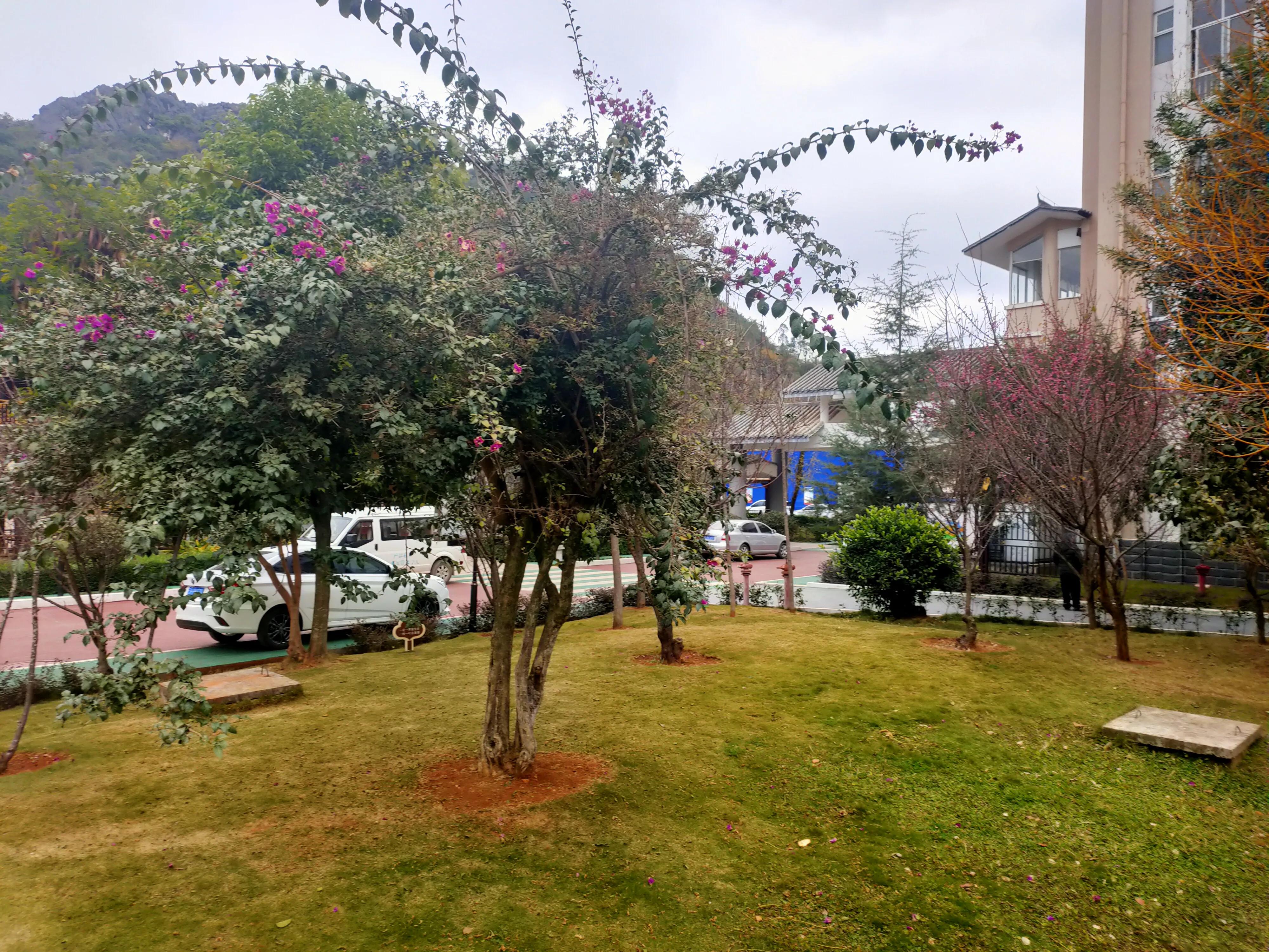 四种外痔的区别,四种外痔的症状