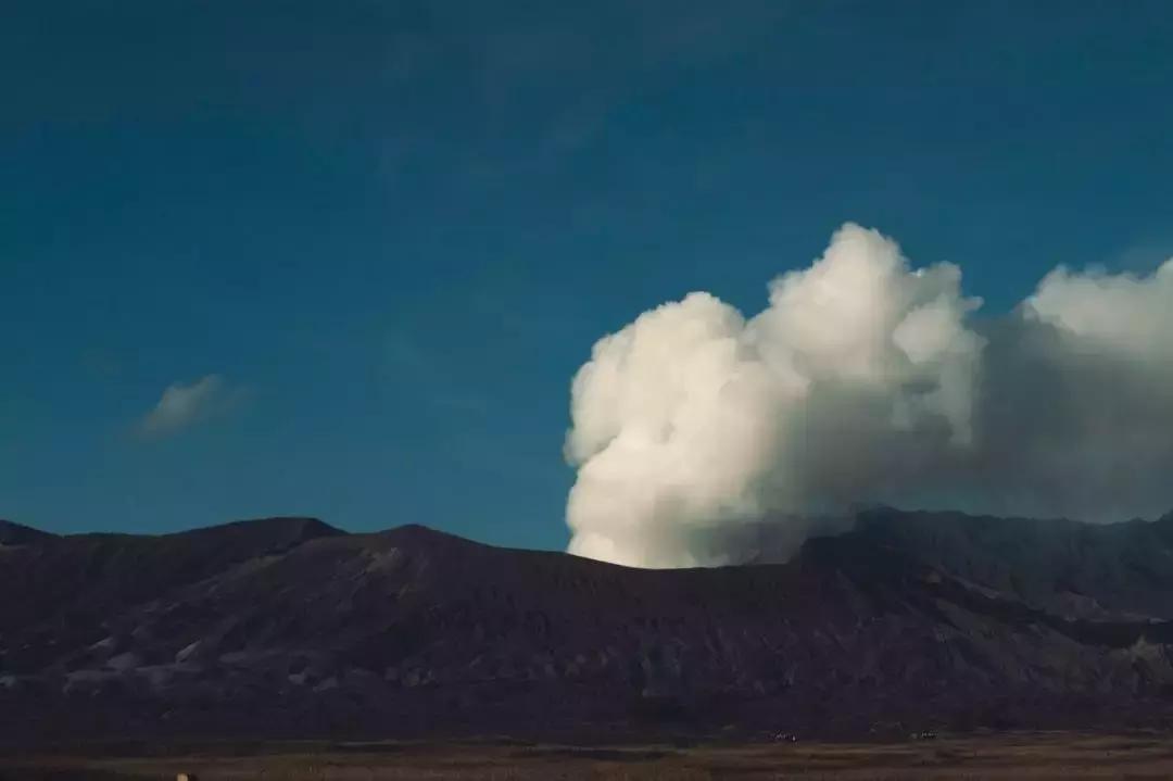 亚航为什么可以提供廉价的机票,亚航特价机票最新消息