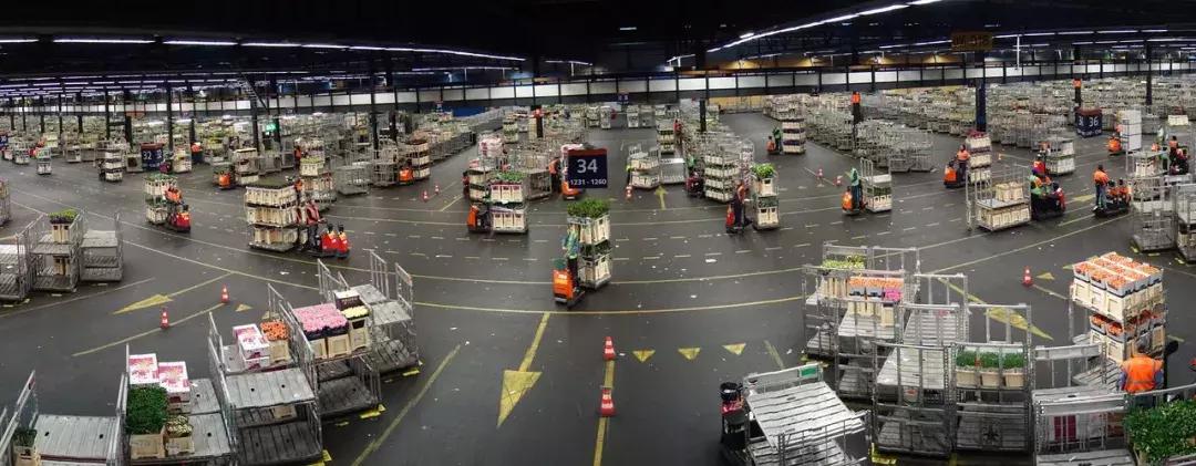 世界顶级鲜花市场,全国最大鲜花交易市场