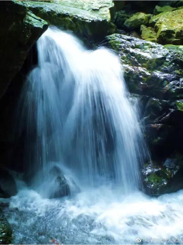 成都坐动车直达这片原始秘境!深幽峡谷、云海奇观、罕见古村…带你逃离夏天!