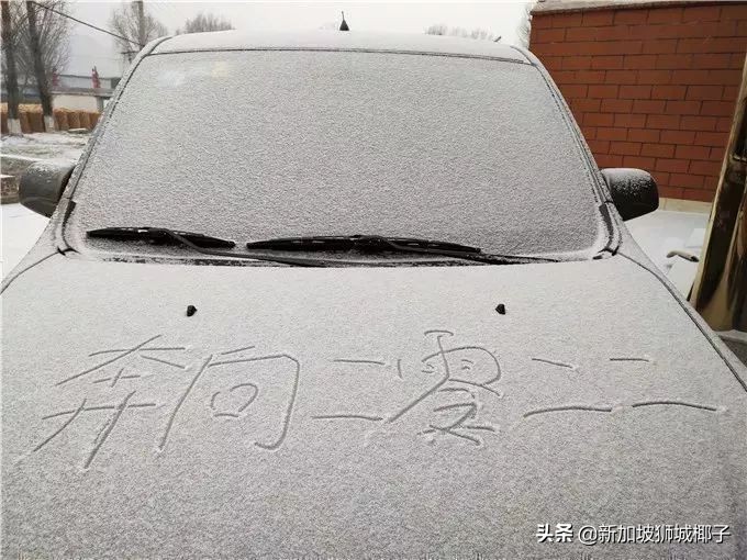 新加坡冻成狗,新加坡狂风暴雨来袭