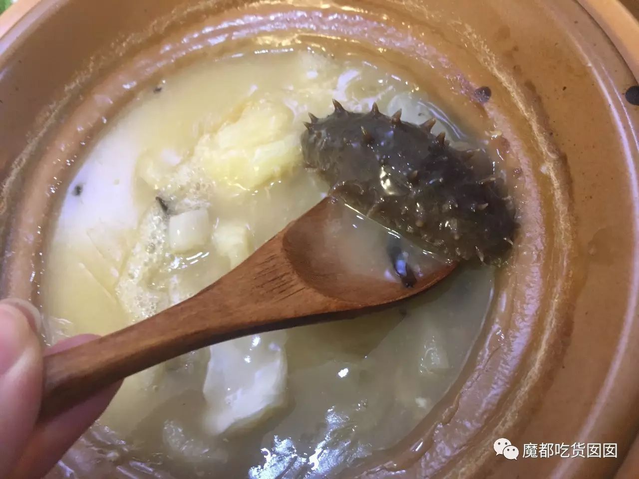 邂逅美味|「38元」一碗正宗料足鱼翅捞饭?--|低调的奢华