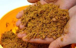 钓鱼怎么打窝鱼获多,钓鱼找鱼窝技巧教学野钓