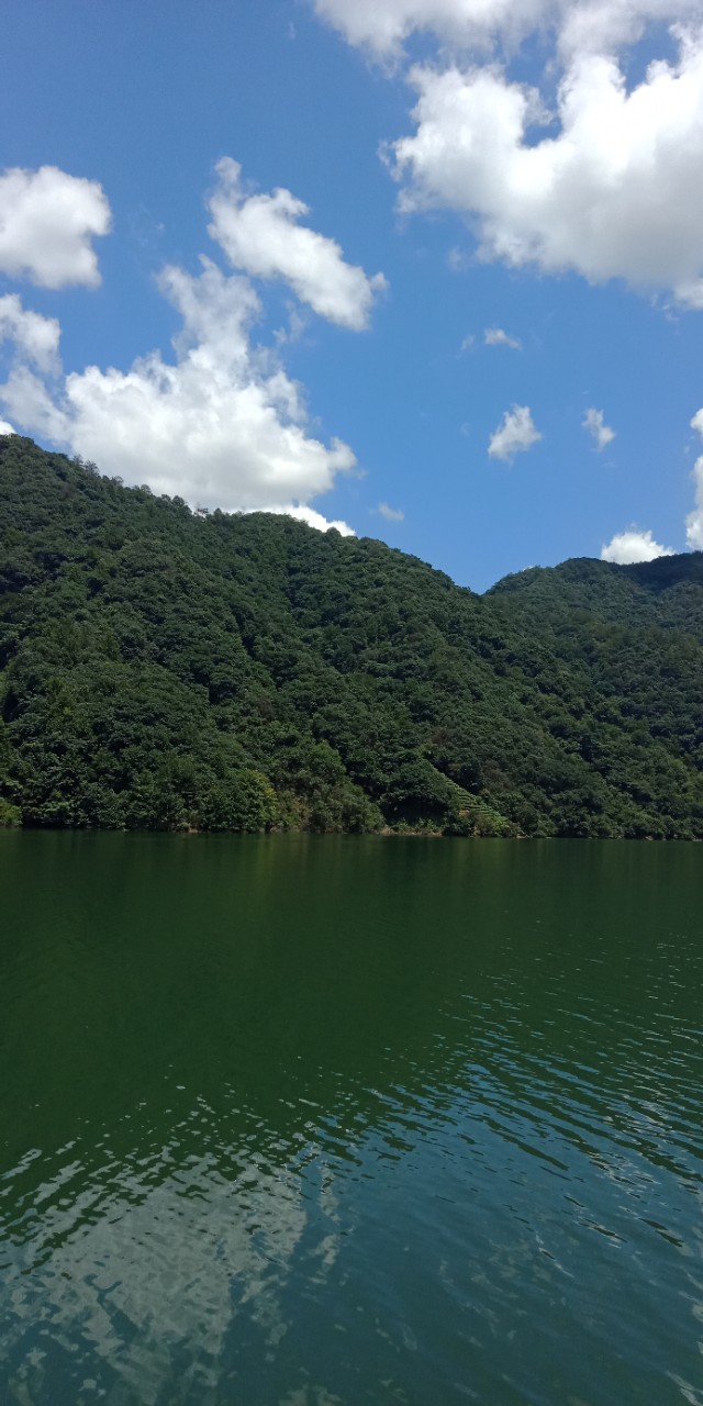 九州文学南京诗社作品,九州文学社作品