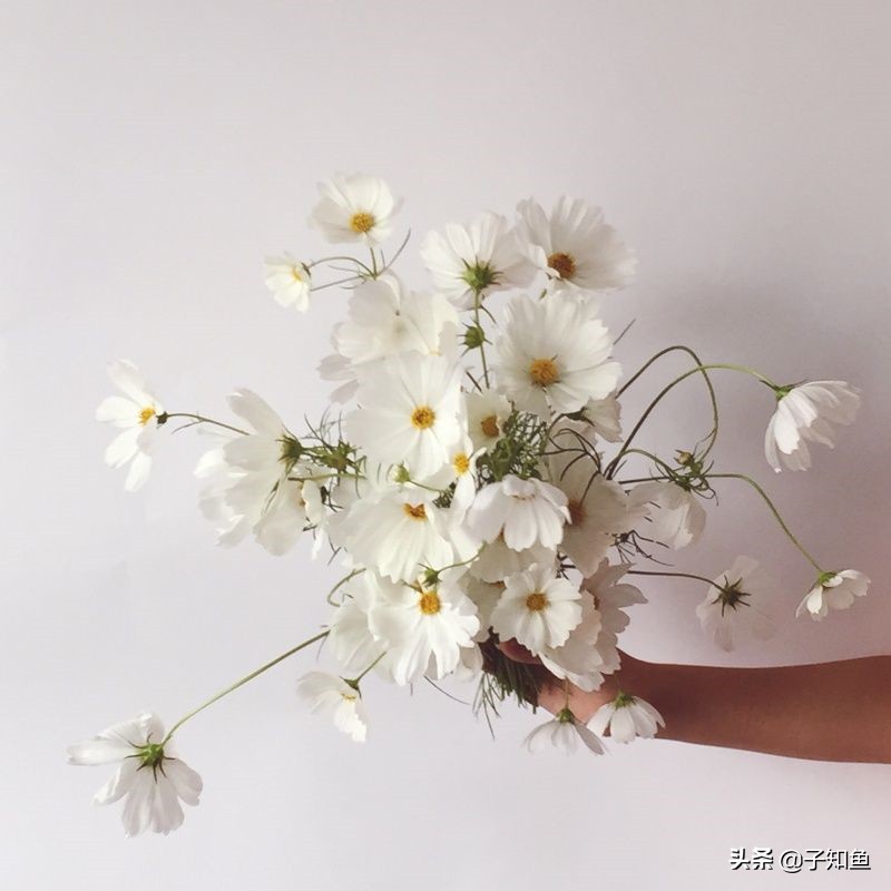 撒娇最可爱的五大星座,最会卖萌和撒娇的星座女孩