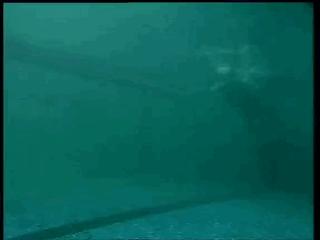 自由泳滚翻转身蹬壁,前滚翻动作练习方法步骤