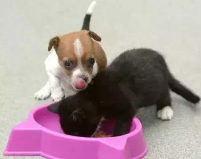 朋友的不同层次的表达,朋友的另外表达方式