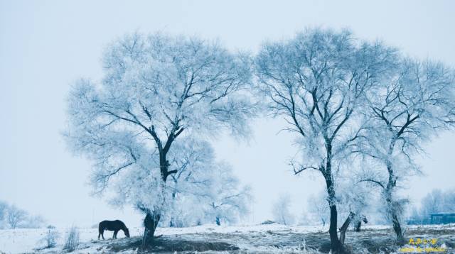 不负美景不负卿,不负美景不负卿经典语录