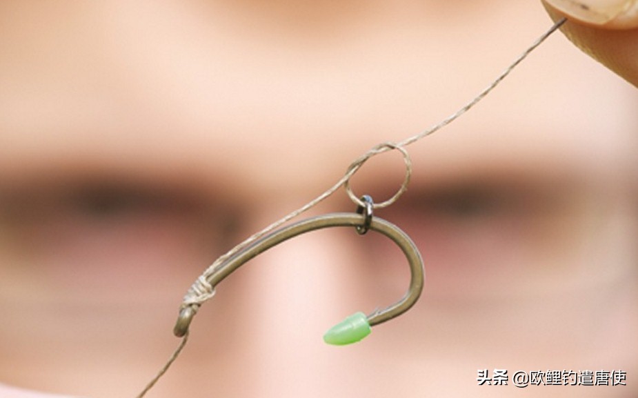 话说欧鲤钓组全集,欧鲤钓组可以钓哪些鱼