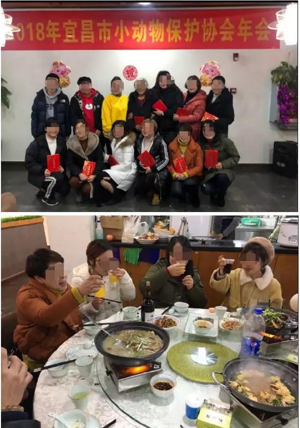 最佳戏精奖,最佳戏精奖获得者