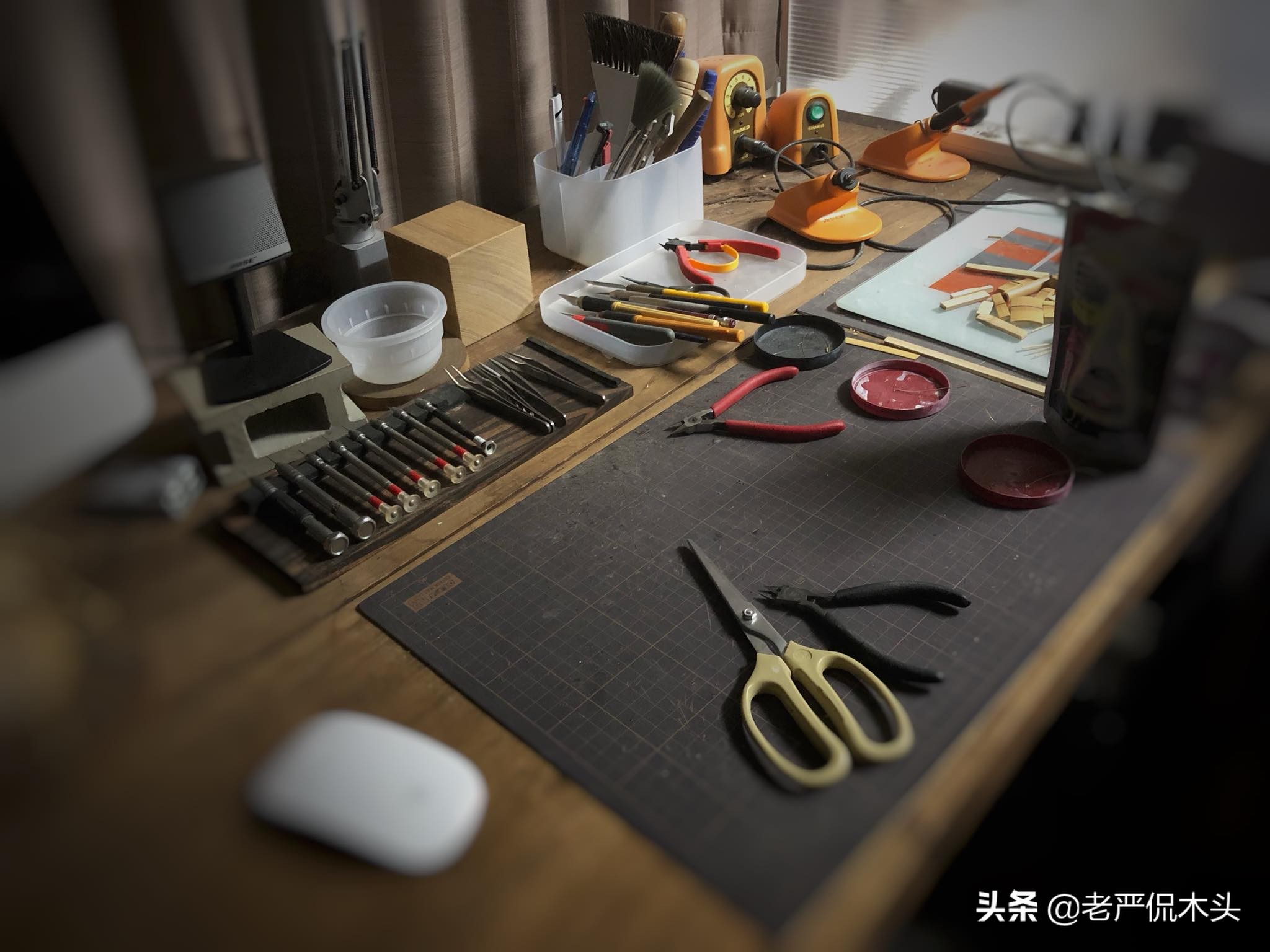 昆虫标本树脂竹节虫,昆虫标本制作竹节虫