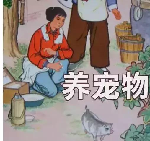 青白江孕妇照,青白江孕妈妈照