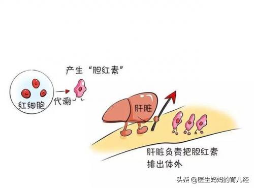 宝宝常见疾病及处理方法,宝宝的十个常见疾病