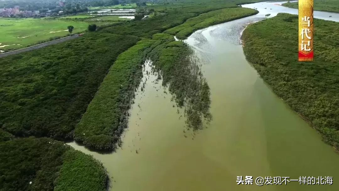 广西合浦是怎么样的?央视是这样全方位介绍这美丽的珠乡的