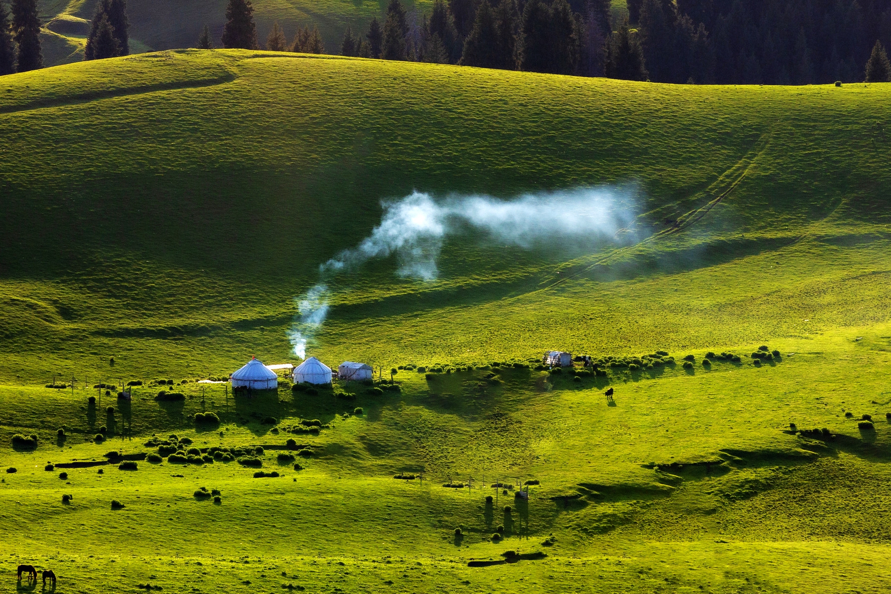 澶╁北楹︽捣,鏄熺┖涓嬬殑缁濈編绋荤敯姊甸珮