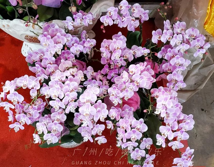 快收藏攻略,快收藏干货