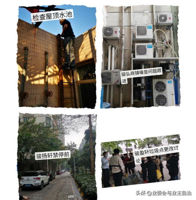 把庭院打造成美丽花园的最佳方法,为建设美好生态公园城市添砖加瓦