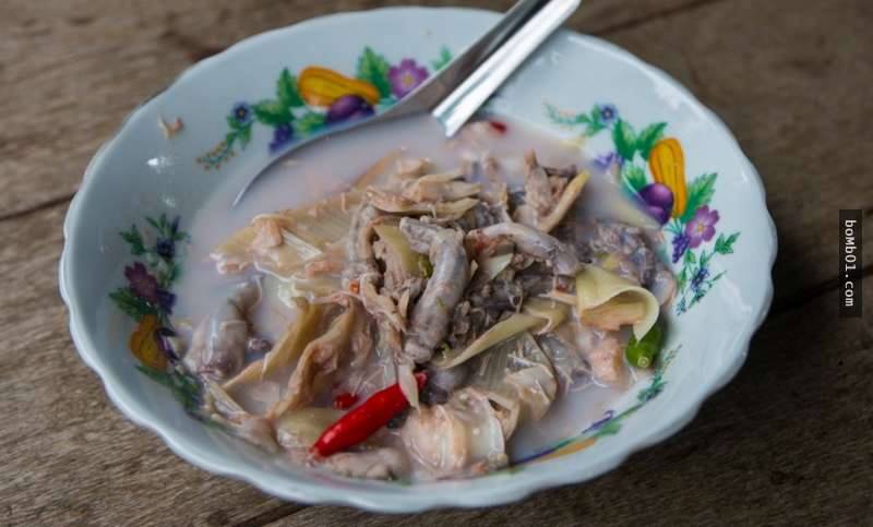 不经意间便能颠覆海洋战争的局势,船蛆小小身体却有大能量