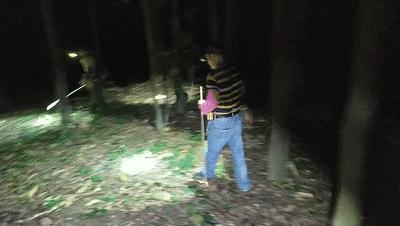 身披铠甲的土肥圆，土鳖不是形容词，而是餐桌上100一斤的美食