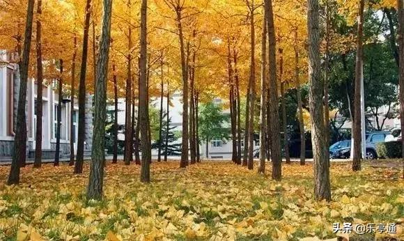 乐亭最美的地方,乐亭县古镇