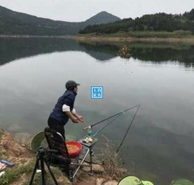 野生大湖钓鱼视频大全,深山老林水库野钓