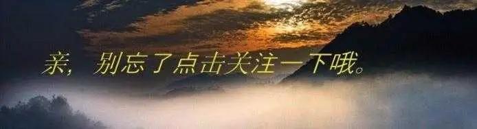 穷车夫艳遇痴情女,妻子设计让丈夫中招,两女一夫的结局出人意料