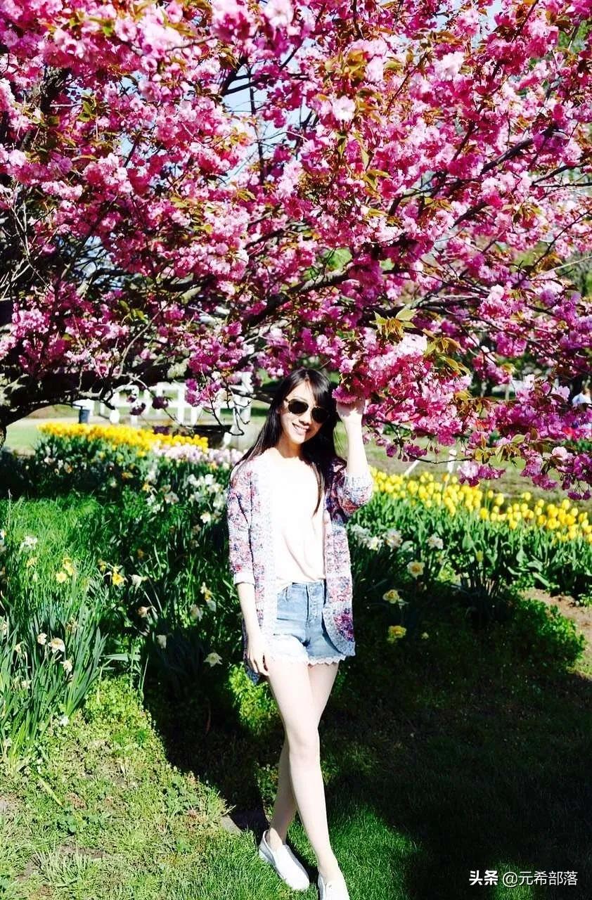 荷兰小镇郁金香盛开,荷兰小镇郁金香花海