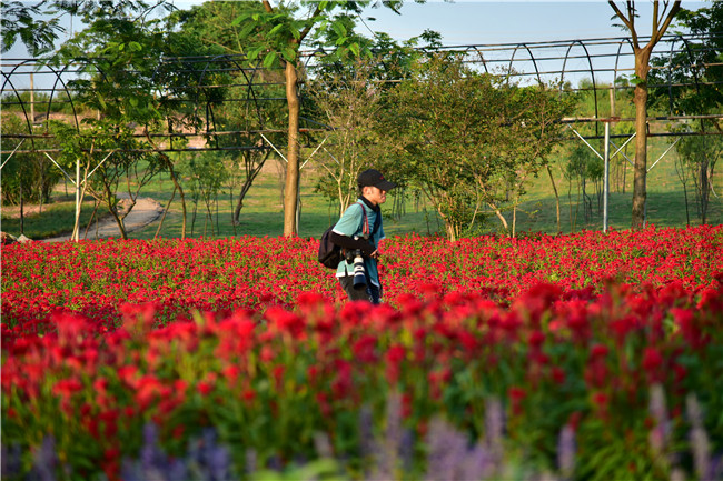 花都美林湖景区,广州花都美林湖攻略